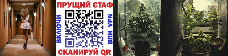 Магазины продажи наркотиков Долгопрудный COCAIN Псилоцибиновые грибы ГАШ АМФ Марихуана Меф