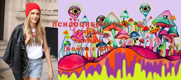 ПСИЛОЦИБИНОВЫЕ ГРИБЫ Аркадак