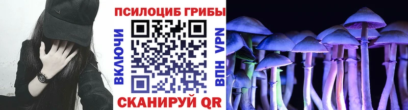 Псилоцибиновые грибы GOLDEN TEACHER  hydra вход  Долгопрудный  цена  