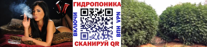 kraken ссылки Долгопрудный МАРИХУАНА сатива наркошоп